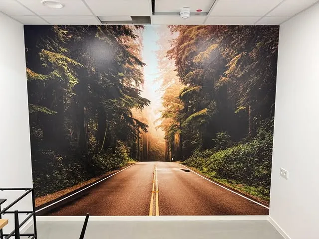 Fototapete mit Waldstraße im Morgenlicht